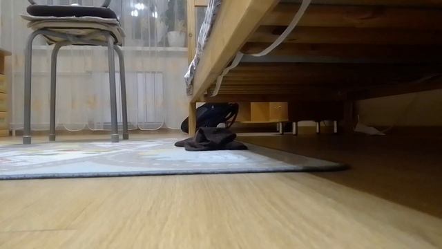 КОРОЧЕ ГОВОРЯ ЭНГРИ БЁРДС В РЕАЛЬНОЙ ЖИЗНИ смотреть онлайн