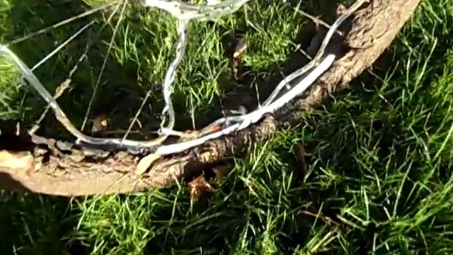 Hucthinsons Toro Tyre Review смотреть онлайн