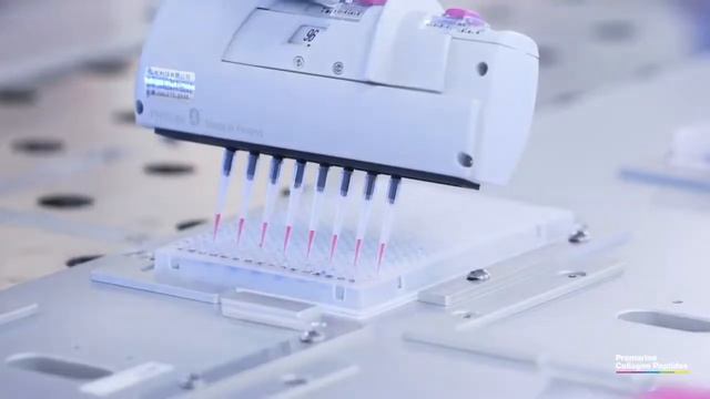 Promarine Collagen peptides гидролизованный морской коллаген смотреть онлайн