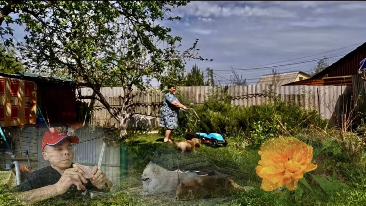 Влог,Обычный теплый денек на даче.Чем нужно заниматься на дачном участке ? смотреть онлайн