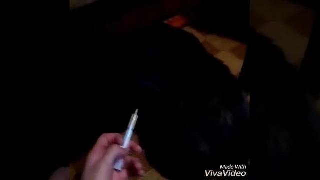 Побег на бешеной скорости/ Тусик не хочет пить таблетки смотреть онлайн