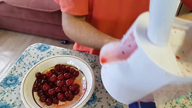 Заготовка вишни. Вишневый сок. Удалить косточки.Вишнёвое варенье. смотреть онлайн