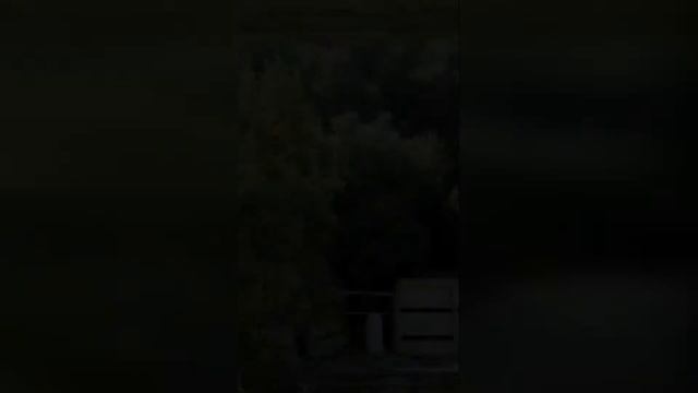 Круиз с Кипра в Ливан (Бейрут) смотреть онлайн