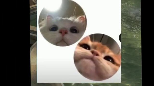 АВАТАРКИ ВЗЯТЫ ИЗ ПИНТЕРЕСТА! Ами уходила в отпуск)) #пинтерест #вайб #парные #аватарки смотреть онлайн