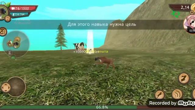 Прокачка собаки в дог симе с 174 по 180 уровень