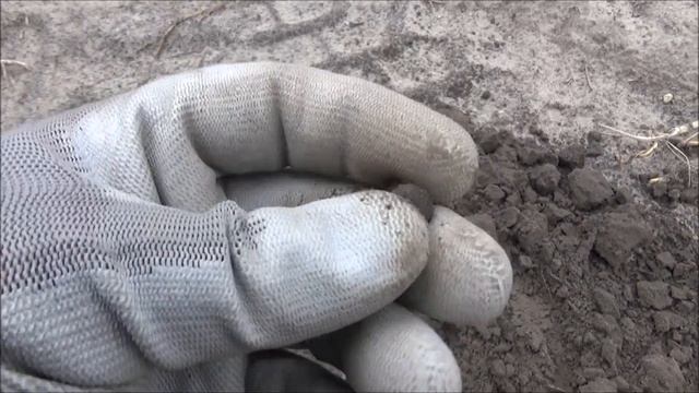 СПАСИБО ДРУГ, ЧТО ПОКАЗАЛ НАМ ЭТО ПОЛЕ!!! Коп в Нидерландах. смотреть онлайн
