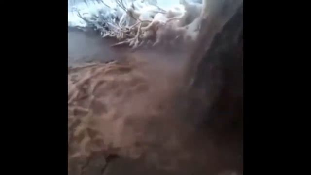 В реку Белая льётся бурая жидкость смотреть онлайн