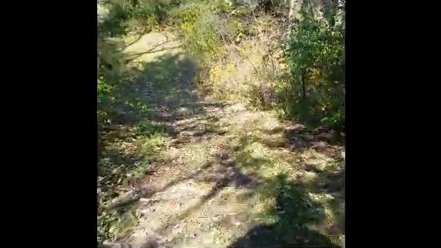 Jamis Trail X650 single speed смотреть онлайн
