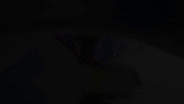 Welcome To My World смотреть онлайн