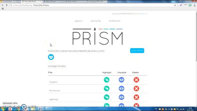Инструкция по работе с сервисом Prism смотреть онлайн