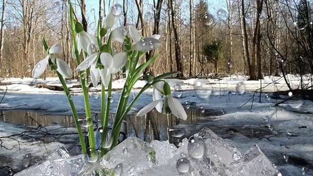 Стало солнышко теплее Иван Демьянов читает Павел Беседин смотреть онлайн