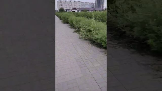 Проспект МАРШАЛА ЖУКОВА.ЛЕВЕНЦОВКА.Г.РОСТОВ НА ДОНУ.