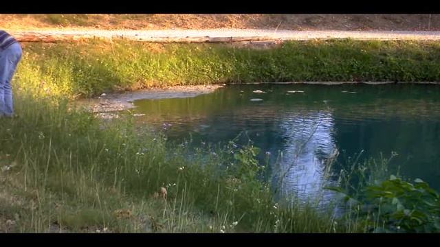 bass strike 2 смотреть онлайн