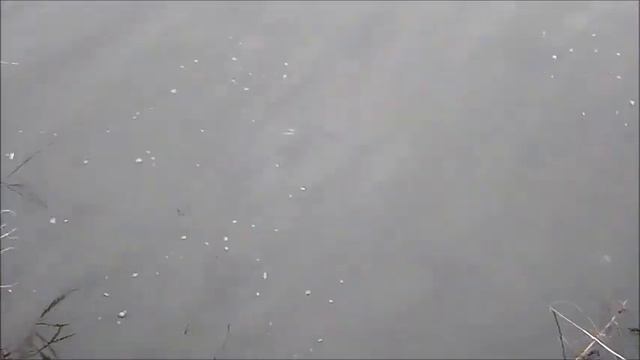 щука в ноябре ! смотреть онлайн
