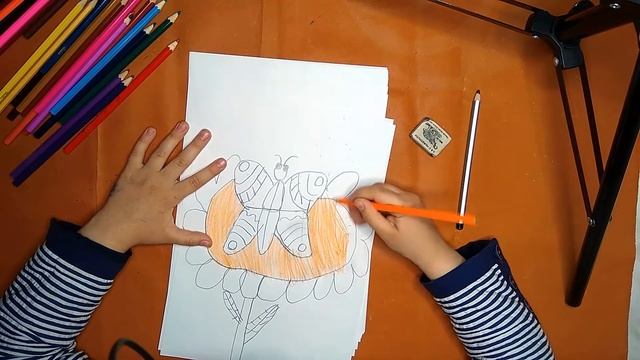 Как нарисовать бабочку карандашом. Онлайн-школа рисования "Малевашки" смотреть онлайн