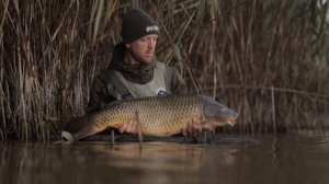 Буква Щ щ и звук [щ']. Обучение грамоте 1 класс. Учитель Михайлова Людмила.