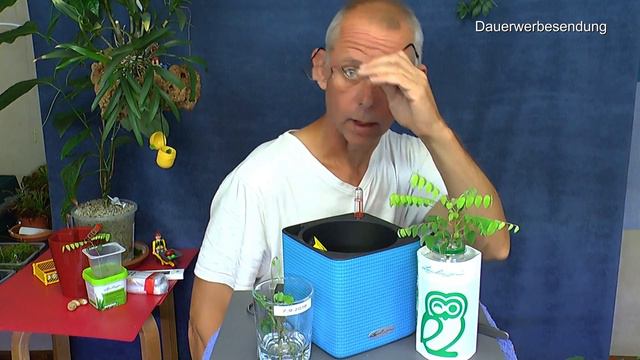 Bald auf Instagram Verlosung im Reich der exotischen Pflanzen heute viel entdecken es ist einfach смотреть онлайн