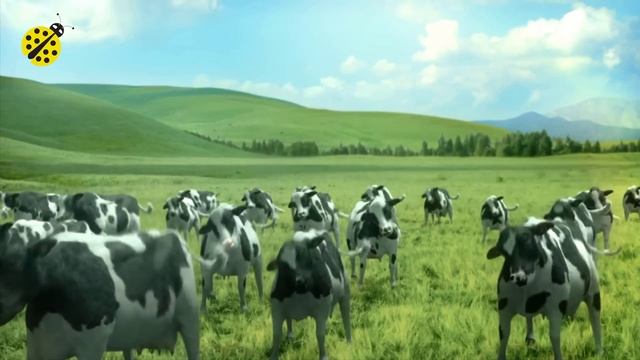 FUNNY COW DANCE 8 │ Cow Dance Song & Cow Videos 2024