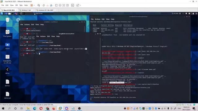 PDF Embedded Reverse Shell смотреть онлайн