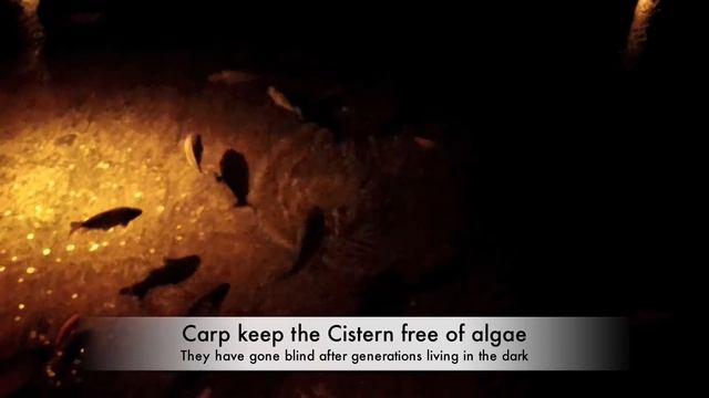 Tour of Istanbul and Basilica Cisterns смотреть онлайн