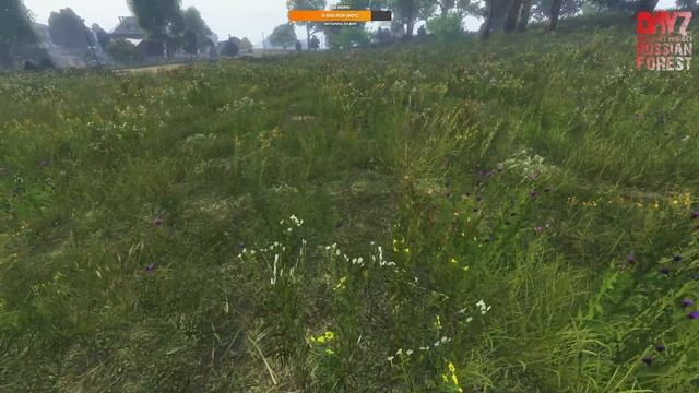 DayZ 1.13| Russian Forest RP |серия #43| одиночка смотреть онлайн