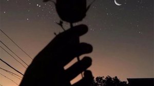 Nikitata-Я просто друг ( 1 час)