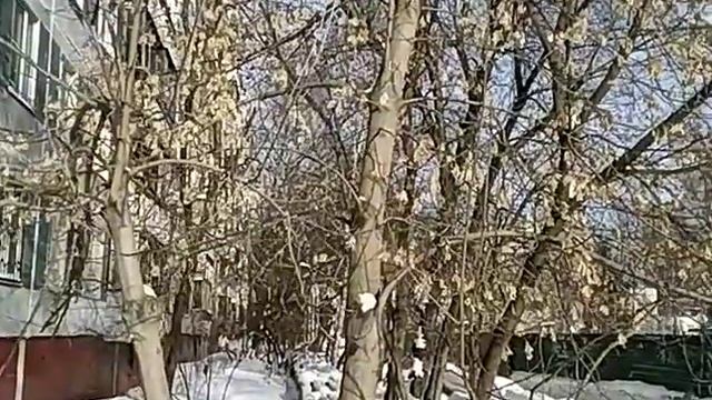 Москва, район Отрадное 19.02.2021 смотреть онлайн