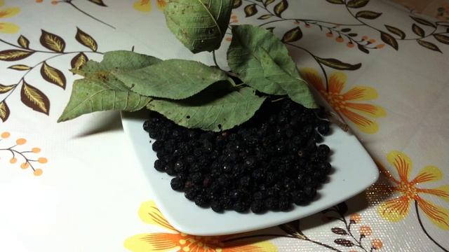 ЧЕРЁМУХА - СБОР,СУШКА И ХРАНЕНИЕ СЫРЬЯ. смотреть онлайн