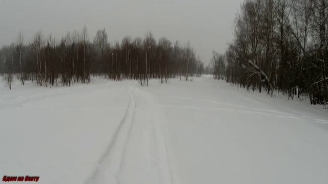 Как мы с товарищем на зайца ходили ))) смотреть онлайн