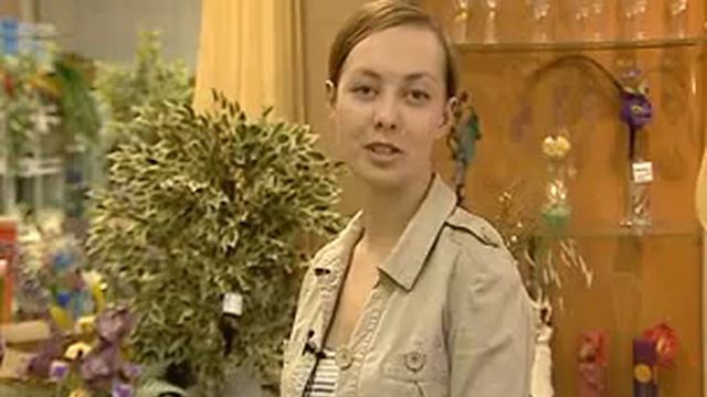 Как сделать что бы эти дни закончились? смотреть онлайн