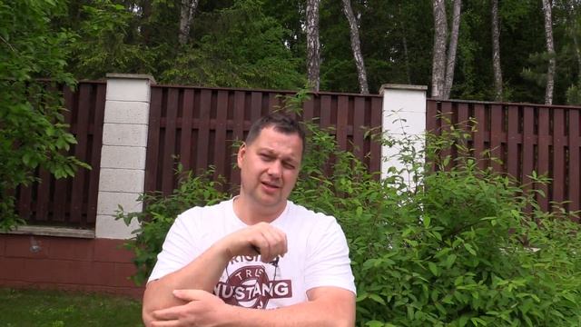 Воспитание. Как воспитывать ребенка счастливым - Лабиринты Знаний смотреть онлайн