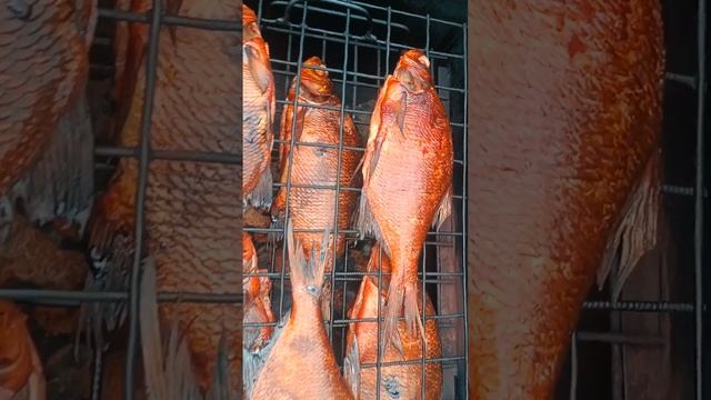 Лещ горячего копчения ? смотреть онлайн