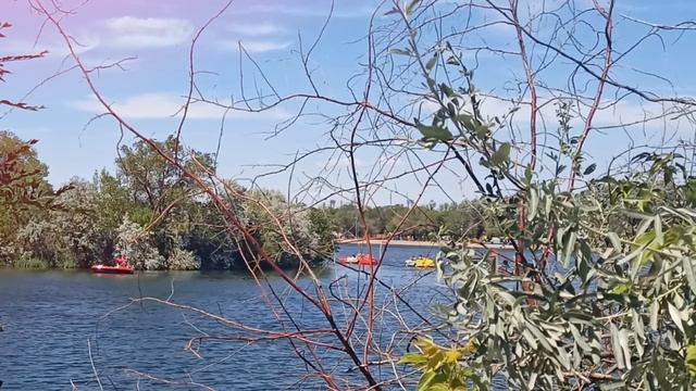 Муж думал запугать меня разводом, чтобы я попросила прощения у его мамы за своё хамство... смотреть онлайн