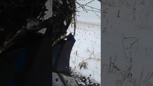 безотвальная спашка смотреть онлайн