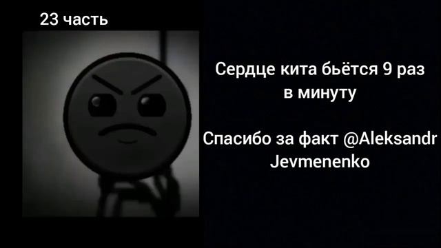 Ты услышал этот факт | СБОРНИК (21-24 часть) смотреть онлайн