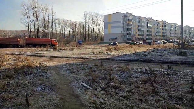 Стаффорд гоняет стаю дворняг/Делаем бронь на щенков? смотреть онлайн