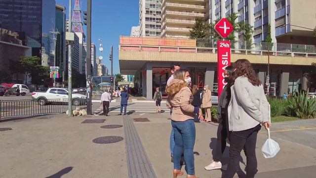 Walking in São Paulo Streets: Av Paulista ?? | São Paulo, Brazil |【4K】2021 смотреть онлайн