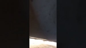 посторонний звук при работающем двигателе у дастера