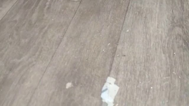 Паучок и Соня смотреть онлайн