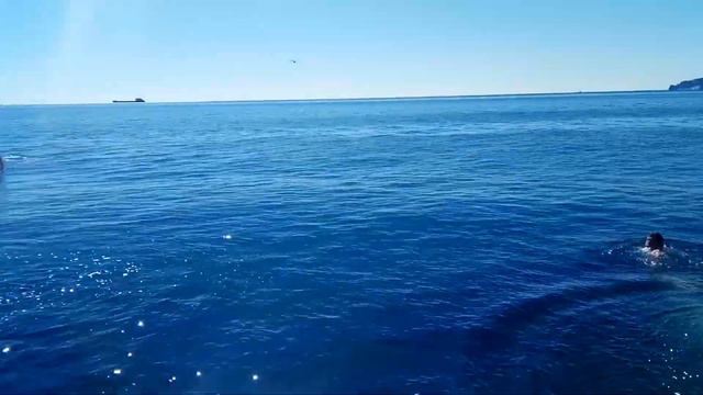 05 10 2018 Благодаря приезду друзей плаваю в море, так бы, наверное и не плавал смотреть онлайн