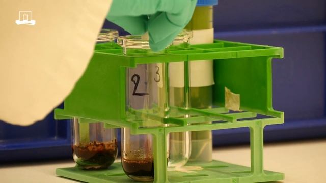 Sargassum: from problem to solution (Subtitles available NL + ENG) смотреть онлайн