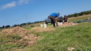 НЕТ ПОГРЕБА МОЖНО И ТАК СОХРАНИТЬ КАРТОШКУ