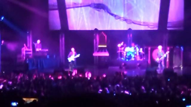 Пикник - Фиолетово Черный(БКЗ Октябрьский 03.11.2016) смотреть онлайн