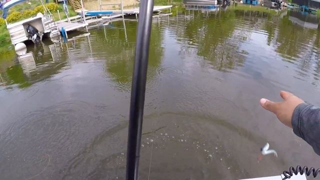 How to Fish a Fluke (Lunker City Fishing Fin-s Fish) смотреть онлайн
