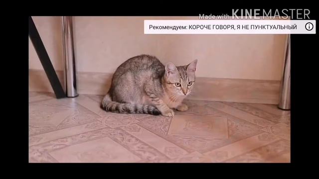 КОРОЧЕ ГОВОРЯ, ОТЛЕЖАЛ РУКИ реакция на OneTwo смотреть онлайн