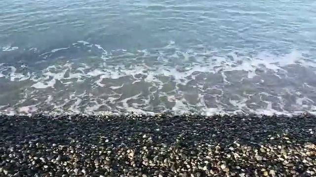 Сочи море 2016 смотреть онлайн