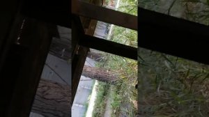 Замена масла в АКПП нисан примера(р12) часть-1