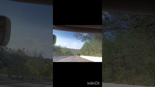 "ВЕРДИКТ" Ольга Негру смотреть онлайн