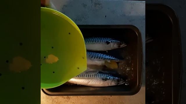Как ВКУСНО Засолить Рыбу в домашних условиях!Простой и Пошаговый Рецепт! смотреть онлайн