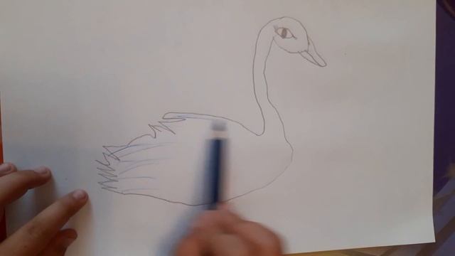 Как нарисовать лебедя?draw a swan смотреть онлайн